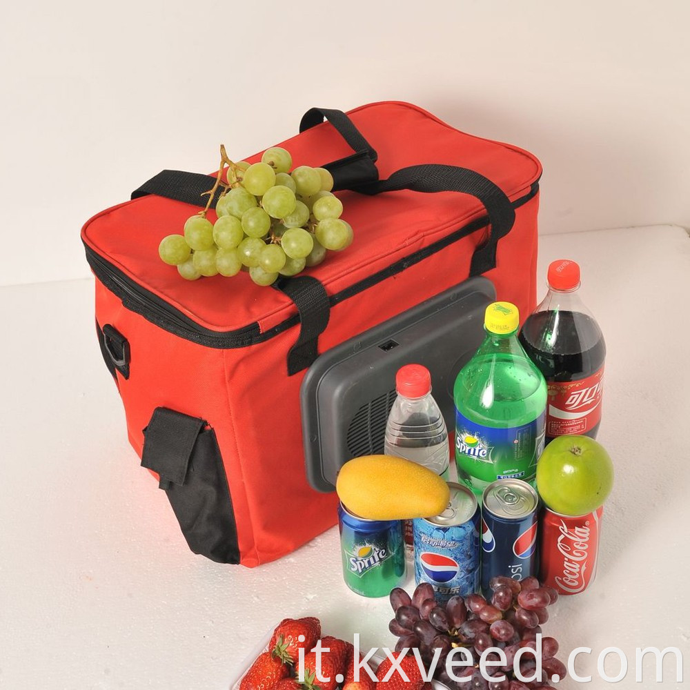 Tappo da 12 V 24L Portable Travel Electrical Picnic Cooler Borsa per auto